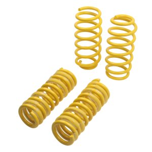 Dodge Magnum Lowering Springs - ST Suspensions - ST Sport-tech - `05-`08